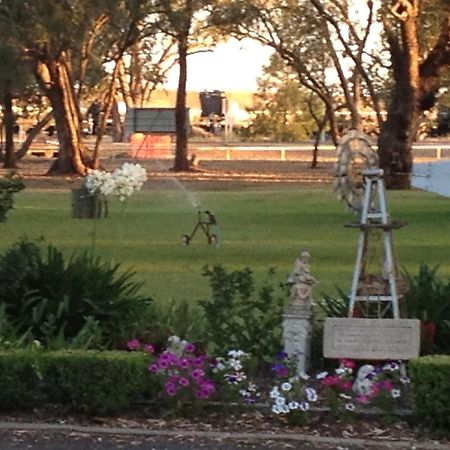 Cooee Motel Gilgandra Exterior foto