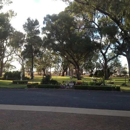 Cooee Motel Gilgandra Exterior foto