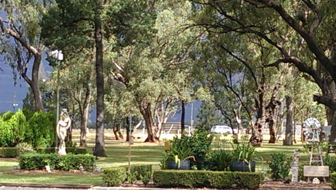 Cooee Motel Gilgandra Exterior foto