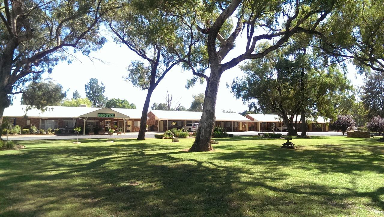Cooee Motel Gilgandra Exterior foto