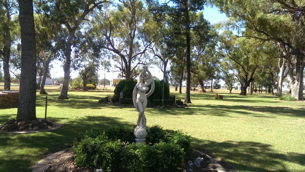 Cooee Motel Gilgandra Exterior foto