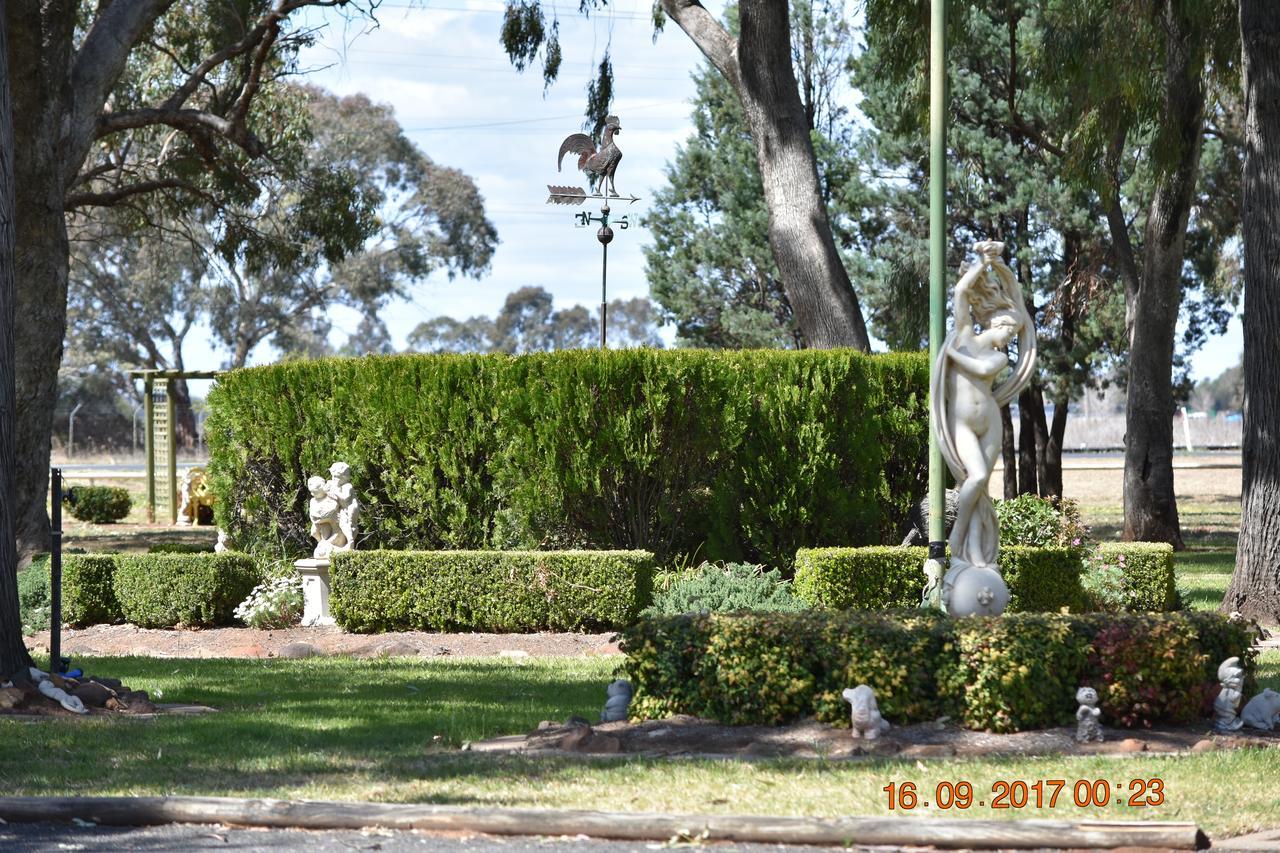 Cooee Motel Gilgandra Exterior foto